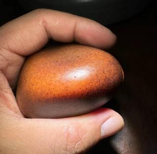 30斤的石包玉,切了个大窗,要80万,你敢赌吗?和田玉鉴定保养知识大全